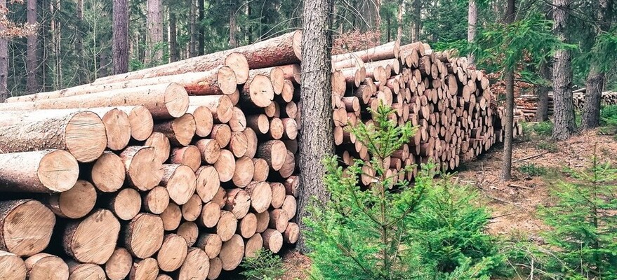 Богатый опыт постоянное информационно